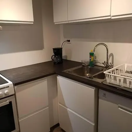 Cozy Close To Downtown 公寓 特罗姆瑟