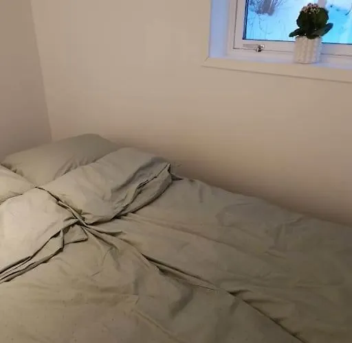 Cozy Close To Downtown Appartement *